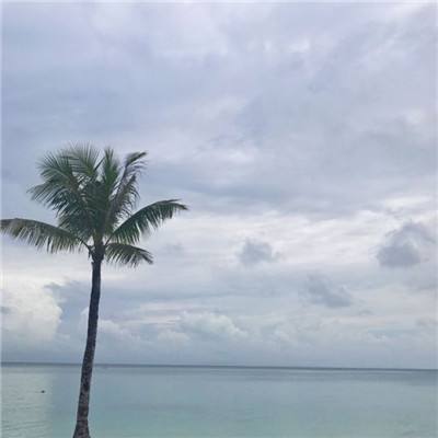 穹顶仙道游戏(暂未上线)v1.0 安卓版